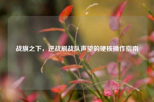 战旗之下，逆战刷战队声望的硬核操作指南