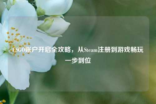CSGO账户开启全攻略，从Steam注册到游戏畅玩一步到位