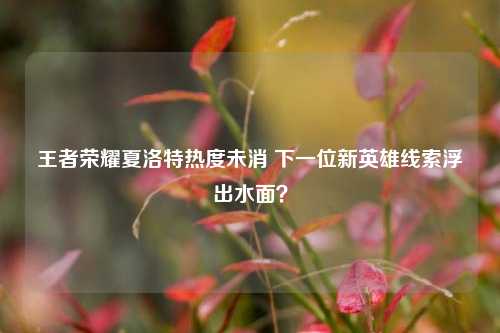 王者荣耀夏洛特热度未消 下一位新英雄线索浮出水面？