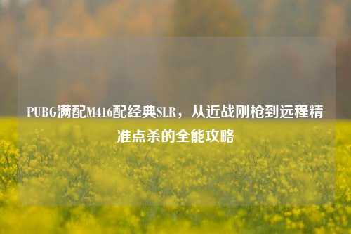 PUBG满配M416配经典SLR,从近战刚枪到远程精准点杀的全能攻略