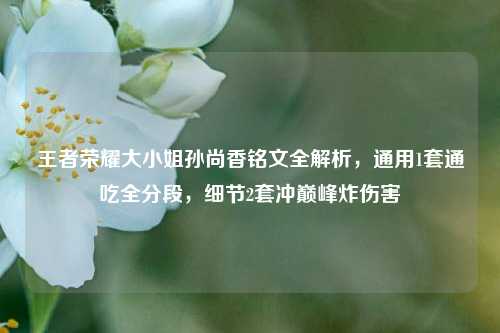 王者荣耀大 *** 孙尚香铭文全解析,通用1套通吃全分段,细节2套冲巅峰炸伤害