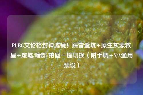 PUBG艾伦格封神滤镜!踩雷避坑+原生灰蒙救星+废墟/暗部/拍图一键切换(附手调+N/A通用预设)