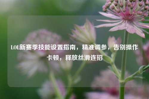 LOL新赛季技能设置指南,精准调参,告别操作卡顿,释放丝滑连招