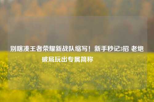 别瞎凑王者荣耀新战队缩写!新手秒记3招 老炮破局玩出专属简称🔥