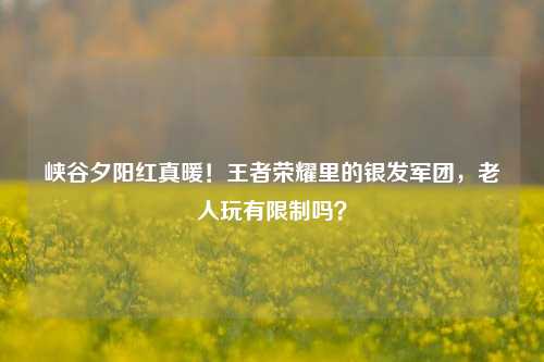 峡谷夕阳红真暖!王者荣耀里的银发军团,老人玩有限制吗?