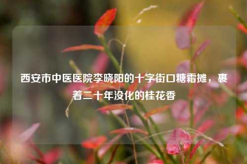 西安市中医医院李晓阳的十字街口糖霜摊,裹着二十年没化的桂花香