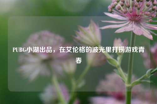 详细阅读:PUBG小湖出品,在艾伦格的波光里打捞游戏青春 PUBG小湖出品,在艾伦格的波光里打捞游戏青春