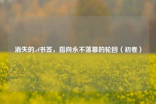 消失的.cf书签，指向永不落幕的轮回（初卷）