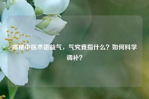 详细阅读:揭秘中医术语益气,气究竟指什么?如何科学调补? 揭秘中医术语益气,气究竟指什么?如何科学调补?