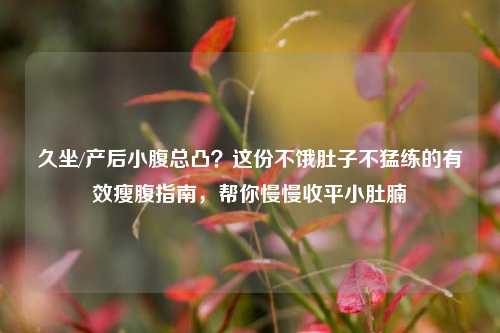 久坐/产后小腹总凸？这份不饿肚子不猛练的有效瘦腹指南，帮你慢慢收平小肚腩