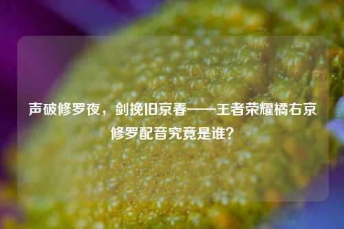 详细阅读:声破修罗夜,剑挽旧京春——王者荣耀橘右京修罗配音究竟是谁? 声破修罗夜,剑挽旧京春——王者荣耀橘右京修罗配音究竟是谁?