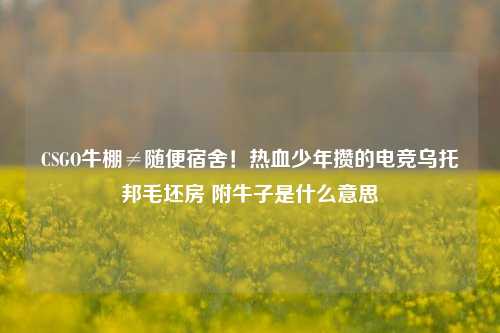 详细阅读:CSGO牛棚≠随便宿舍!热血少年攒的电竞乌托邦毛坯房 附牛子是什么意思 CSGO牛棚≠随便宿舍!热血少年攒的电竞乌托邦毛坯房 附牛子是什么意思