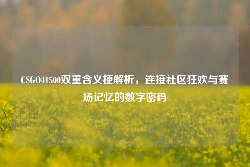 CSGO41500双重含义梗解析，连接社区狂欢与赛场记忆的数字密码